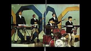 Video thumbnail of "The Dave Clark Five - You Know You're Lying"