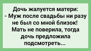 Мать Подсмотрела за Новобрачными, по Просьбе Дочери! Сборник Свежих Смешных Жизненных Анекдотов!