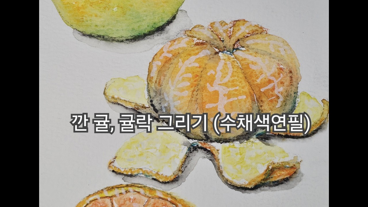 깐 귤, 귤락그리기 (수채색연필)