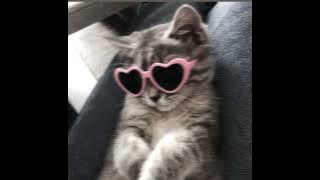 IU good day (Acapella version)