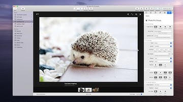 Photo Pro: Lightbox Link Setup