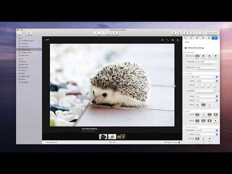 Photo Pro: Lightbox Link Setup