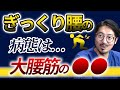 【ぎっくり腰】機能解剖から紐解く病態と治療法