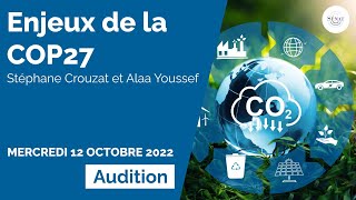 Cop 27 Audition De Stéphane Crouzat Et De Sem Alaa Youssef Ambassadeur Dégypte En France