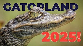 Ultimate Gatorland Experience! Full Tour of Orlando’s Alligator Adventure