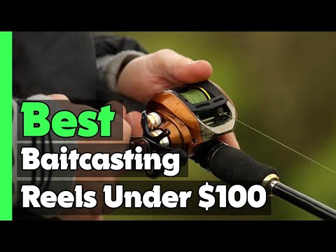 ✓Top 5: Best Baitcasting Reels Under $100 In 2023 🎣 [ Best Budget Baitcaster  Reels ] 