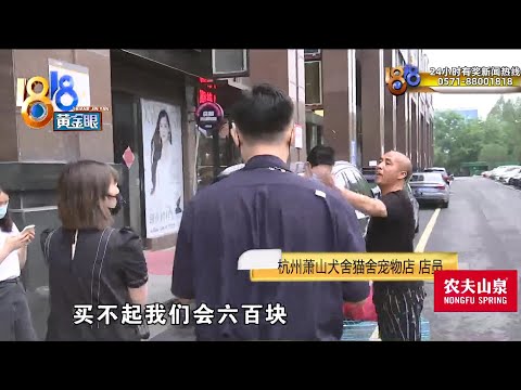 【1818黄金眼】怀疑买到“星期猫”，记者认出“老朋友”