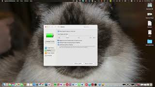 Turn Off Screen Dimming on Mac