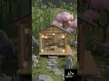 Japanese Zen Tiny House Low Poly #Shorts