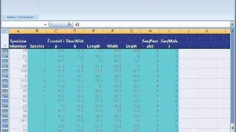 NeuroSolutions Tip Box Leve N Out Training