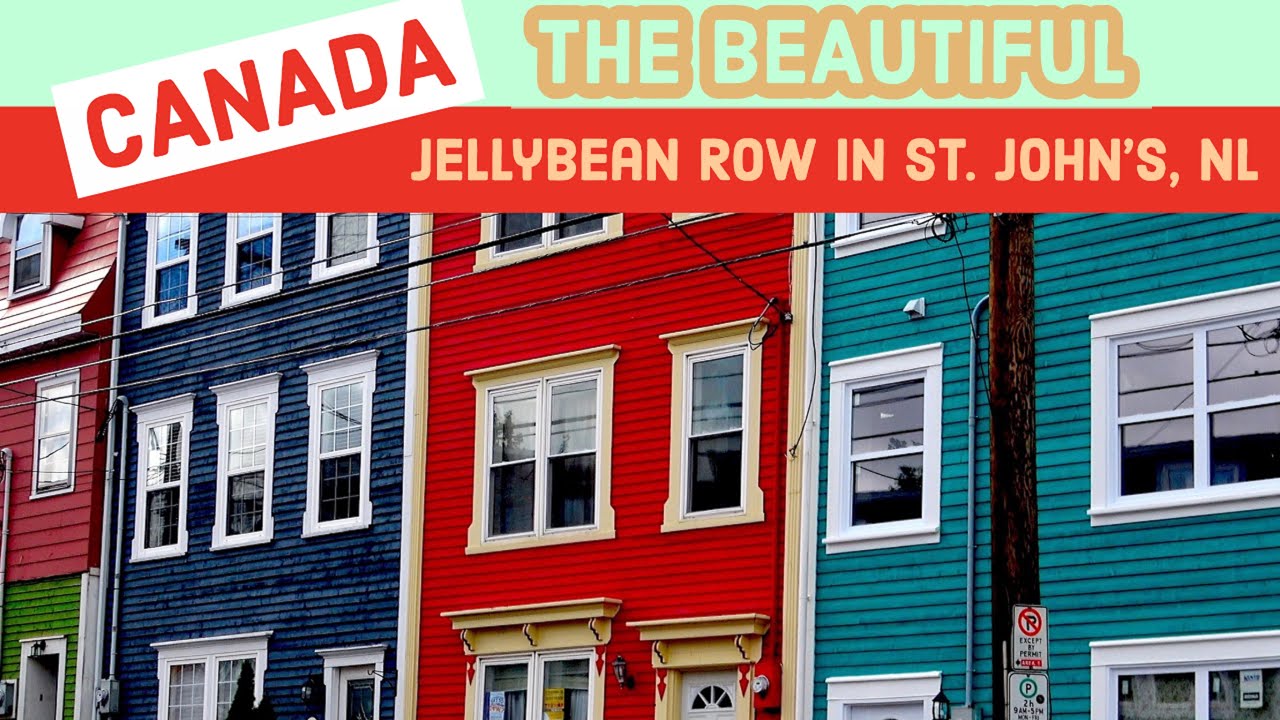 jelly bean tours newfoundland