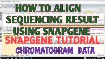 Align sequencing result using snapgene.
