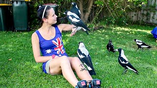 Woman Meets Magpie, Which Then Brings Entire Flock to Her