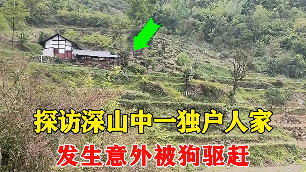 探访深山中一独户人家，不料竟发生意外被狗驱赶，幸遇主人解围【乡村阿泰】