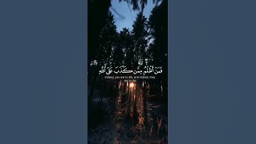 إنك ميت وإنهم ميتون ـ سورة الزمر #قرآن #yasseraldossary #اكسبلور #القزابري #دويتو