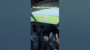 The Flare That Saves the Day #landing #airbus #pilot