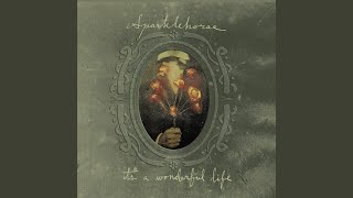 Vignette de la vidéo "Sparklehorse - It's A Wonderful Life"