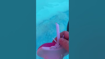 BALDR Pool Thermometer Floating Easy Read, Solar Pool Thermometer with Digital Display