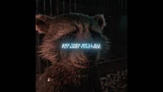 “It Really is GOOD to have FRIENDS💔” | Rocket Raccoon Edit | Radiohead - Let Down + Choir (slowed)