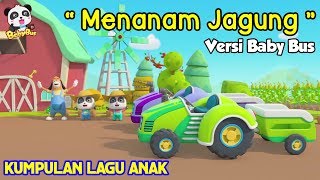 Menanam jagung lagu anak indonesia | Kartun baby bus | Menanam jagung di kebun kita
