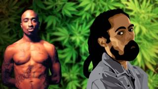 Video thumbnail of "2pac ft. Damian Marley - Road to zion(Remix)"