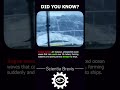 ROGUE waves 🌊😱 #shorts #science #technology