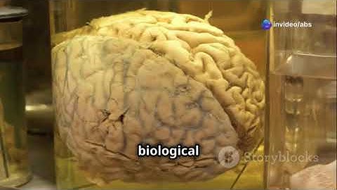 Chomsky’s Revolutionary Linguistic Framework The Minimalist Program