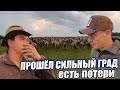 После крупного града лошади разбежались и поломало немного построек/ КФХ Идиятуллин