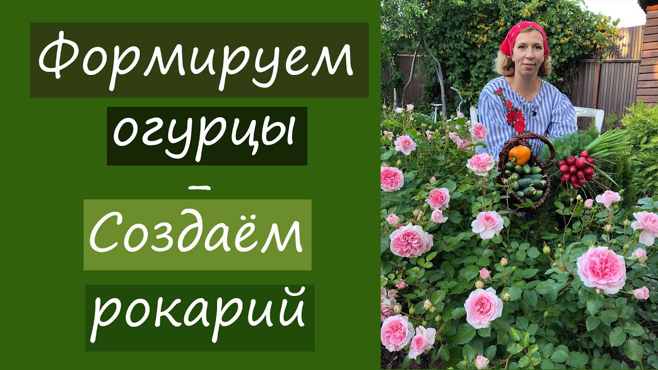 Как формировать чери Как формировать чери