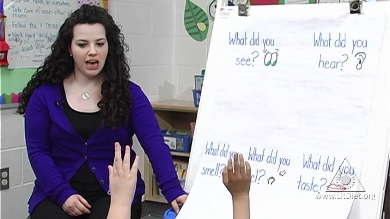 five senses essay
