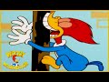 Woody Woodpecker Show | He Wouldn't Woody | Full Episode | Videos For Kids