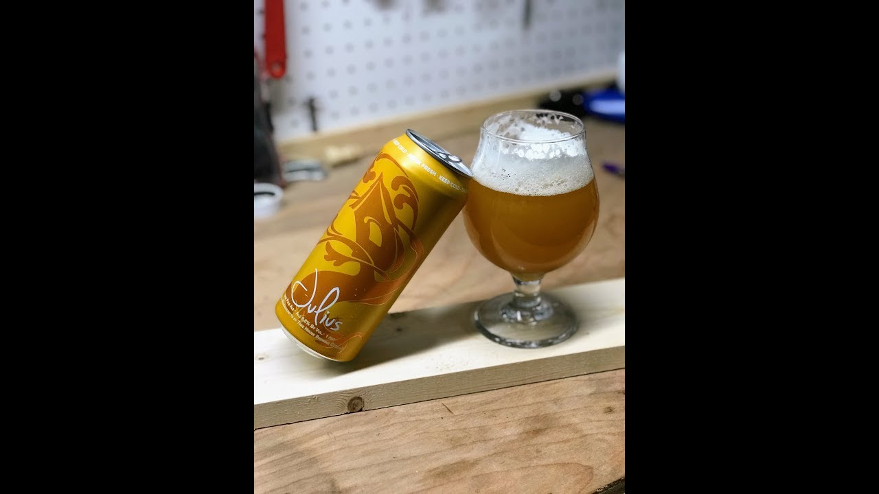 Tree House Brewing Julius Beer Review YouTube