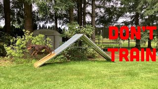 How to Train Dog Agility Running A-Frame