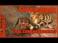 Определили породу наших пчёл | Битва пород