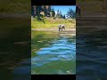 Grate survival skills vid66
