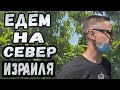 Израиль. Еду на север Израиля. Бустан Берешит. בוסתן בראשית. Мини зоопарк. Israel.