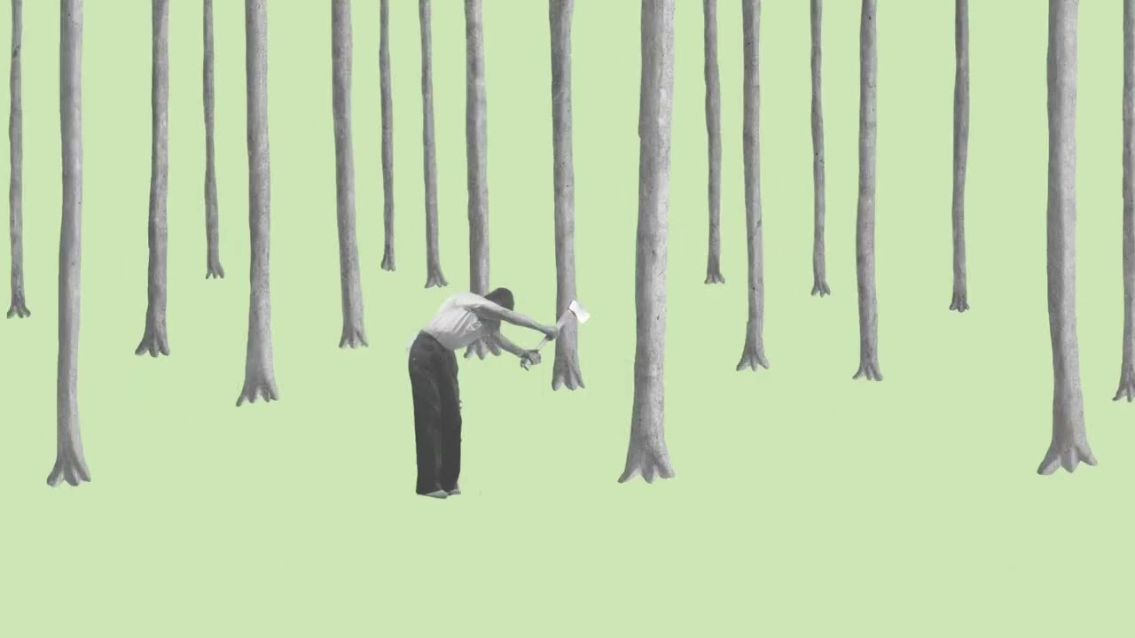 Coppicing neboli Pařezení