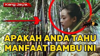 @ambillah!  Bila nemu bambu ini  maka akan terlindung dan terangkat