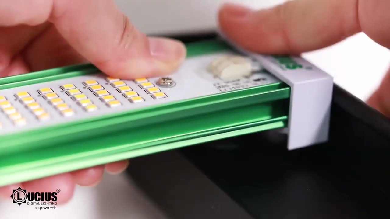 LUCIUS by Growtech 800w Armado