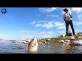 Pesca de Mojarras Con Langostino de Río