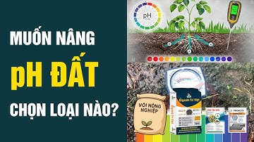 Vôi, Hữu Cơ, Humic, Vi sinh vật nâng pH đất bằng cách nào?