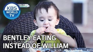 Bentley eating instead of William [The Return of Superman/2019.09.29]