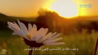 وجهتُ فؤادي كالشمس _ إنتاج#هُداة