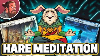 Download Lagu 20 Hare Apparents Meditate in the Moonlight | Against the Odds MP3 Download Lagu 20 Hare Apparents Meditate in the Moonlight | Against the Odds MP3