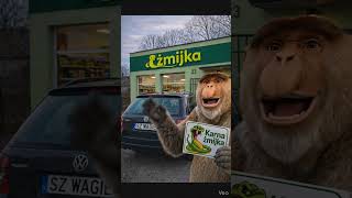 Szwagier Żmija niechlujnie parkuje... #szwagier #żmija #szwagry #passat #parkowanie #heheszki #beka