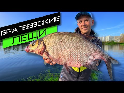 Видео: ЛОВЛЯ ЛЕЩА НА ФИДЕР / СЕКРЕТЫ ЛОВЛИ ЛЕЩА / FROS FISHING