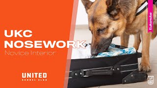 UKC Nosework: Novice Class: Interior