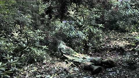 Renhui Zhao and the Invisibility Cloaks HD