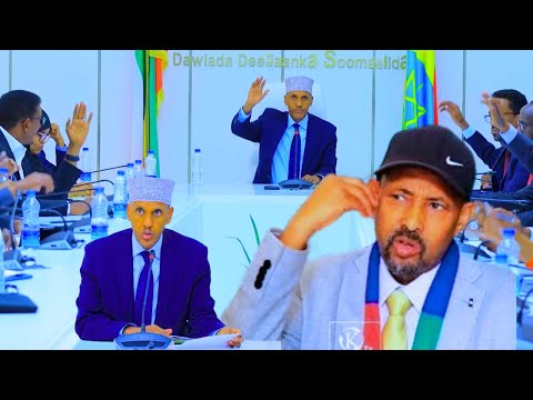 Daawo Daawo OLF O Qaadacday Magacaabistii Iyo Deegaanka O Gil Gilanaaya Caddaani Hirmooge