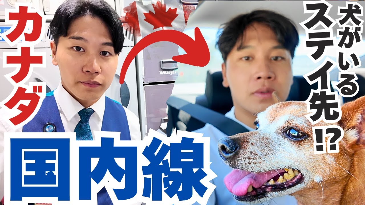 【外資系CA】乗務後のステイ先がホテルではなくお義母さん家。